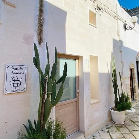Musciu Ti Lammia Apartment